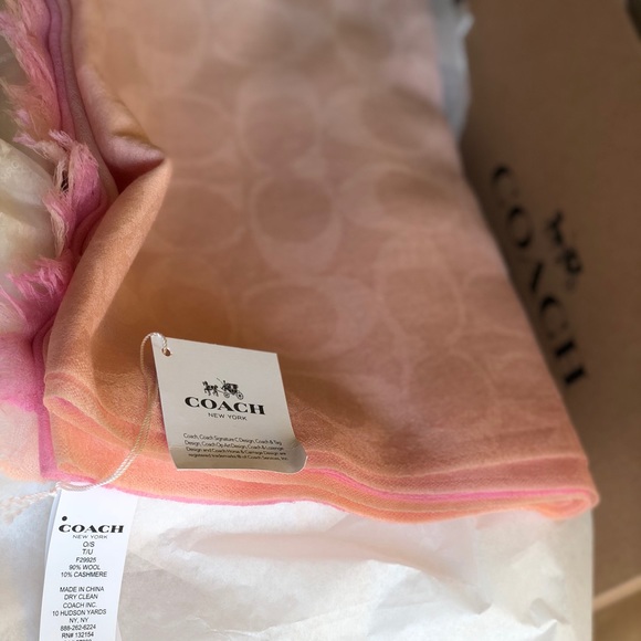 Ombré Coach Scarf - Picture 5 of 7